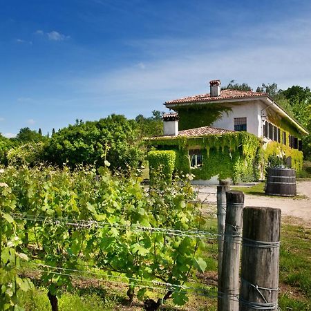 Agriturismo Tra Le Vigne Buttrio Buitenkant foto