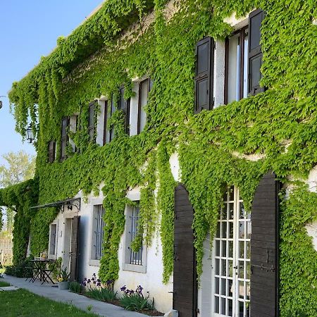 Agriturismo Tra Le Vigne Buttrio Buitenkant foto