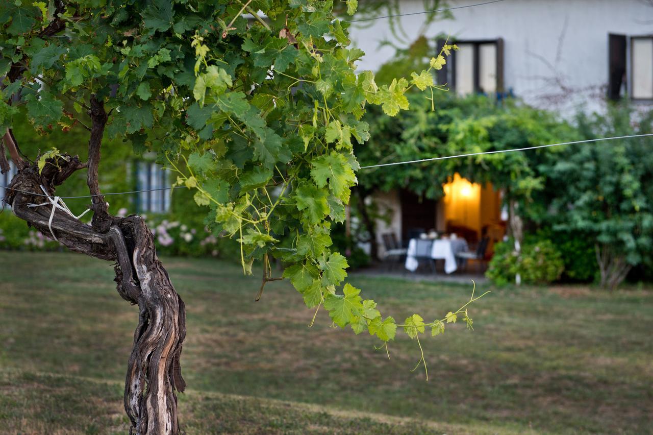 Agriturismo Tra Le Vigne Buttrio Buitenkant foto