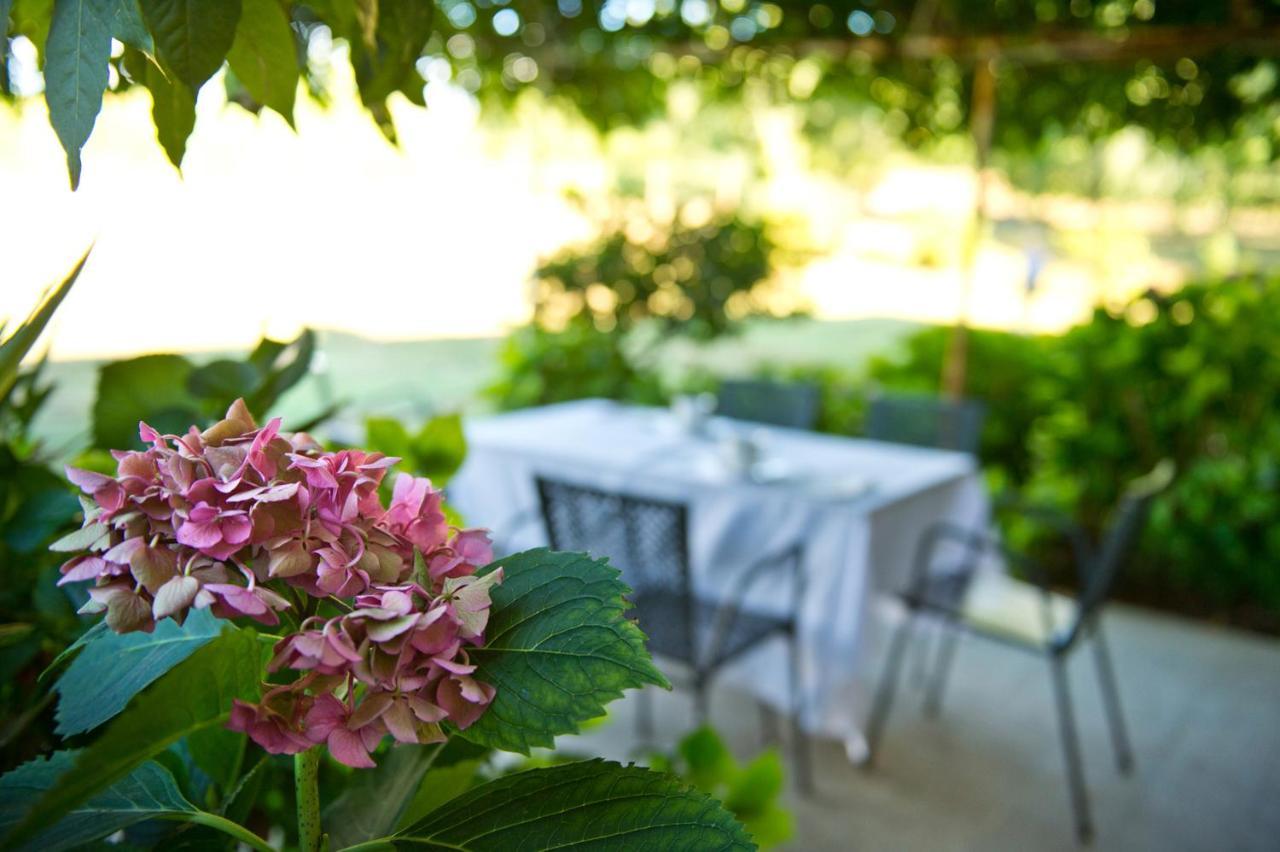 Agriturismo Tra Le Vigne Buttrio Buitenkant foto