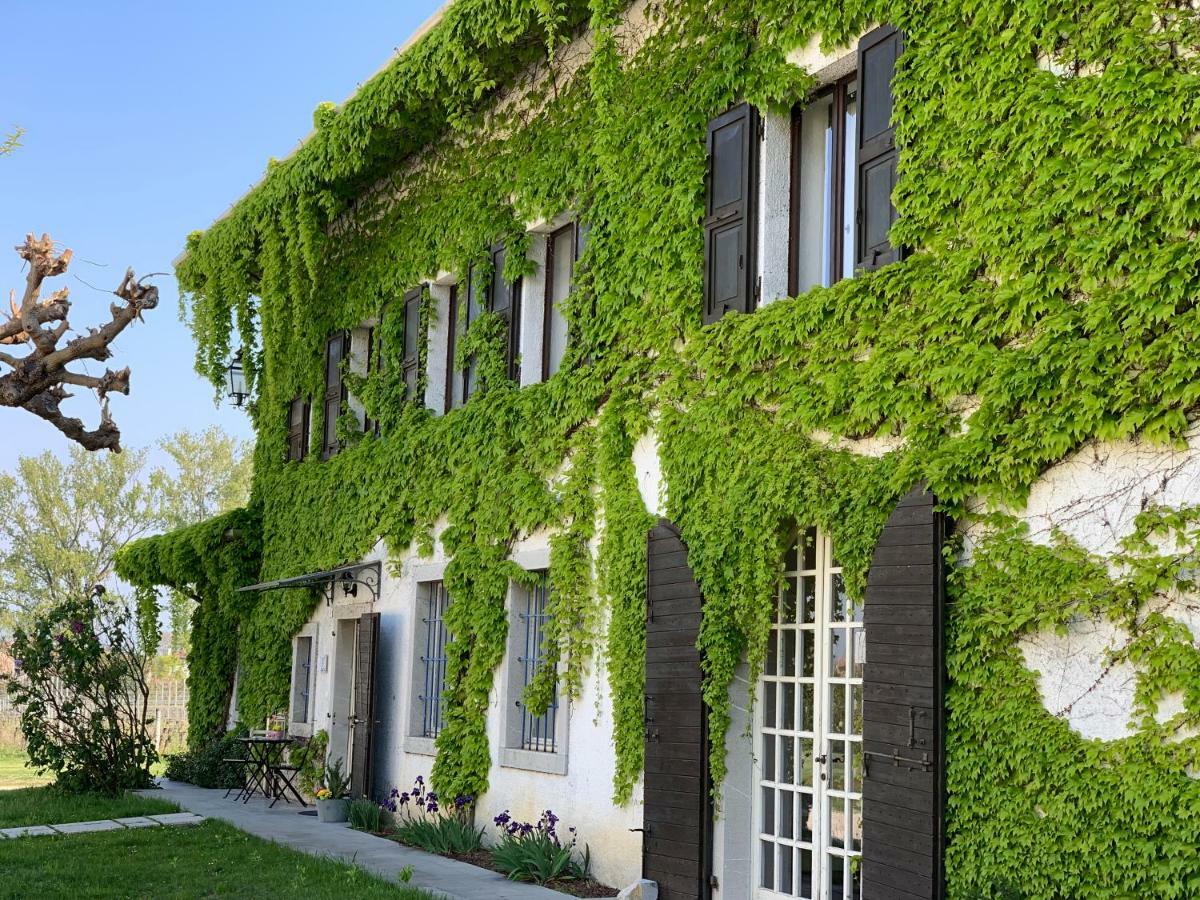 Agriturismo Tra Le Vigne Buttrio Buitenkant foto